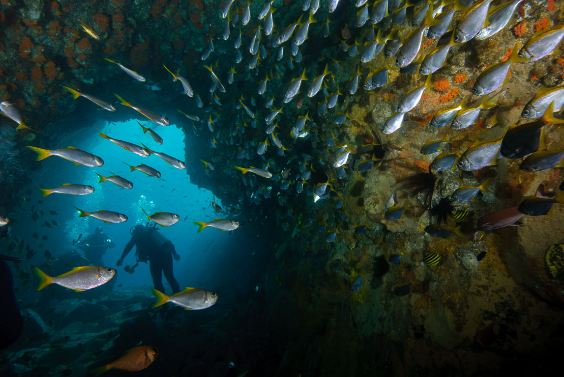 Fish Rock Cave